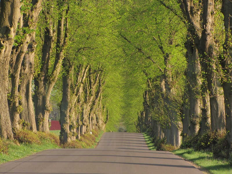 Den Osten „erfahren“ – Altmark und Uckermark – ausgebucht